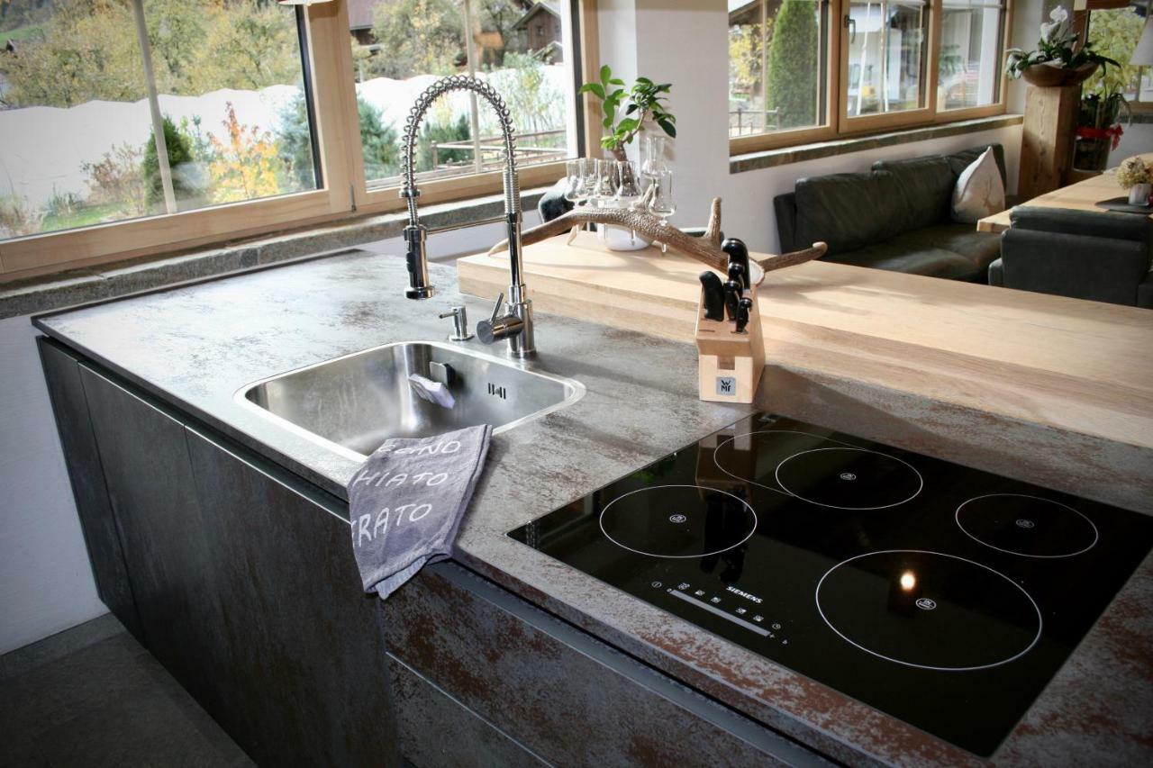 Appartements "Da Zillertaler Und Die Geigerin" マイヤーホーフェン エクステリア 写真