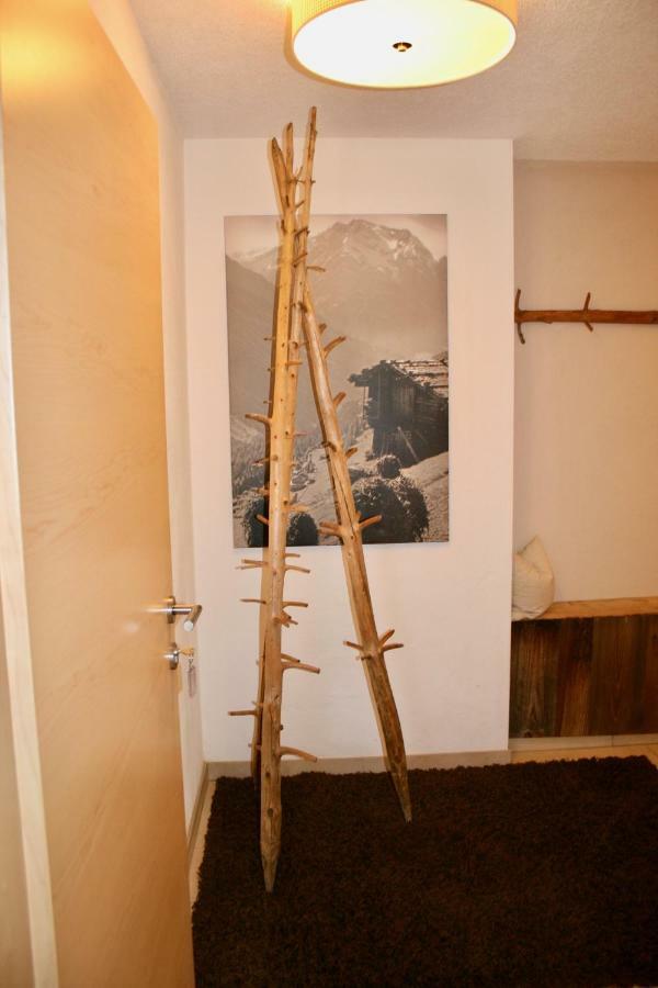 Appartements "Da Zillertaler Und Die Geigerin" マイヤーホーフェン エクステリア 写真